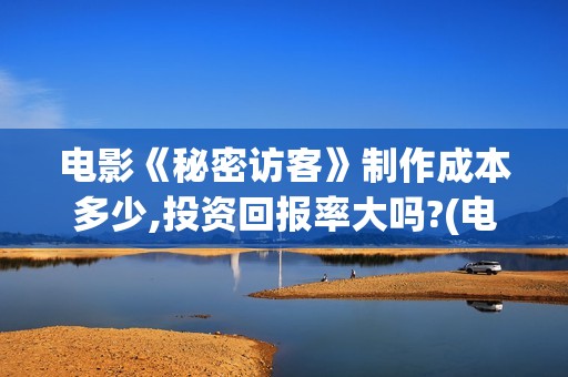 电影《秘密访客》制作成本多少,投资回报率大吗?(电影,秘密访客)