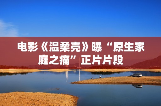 电影《温柔壳》曝“原生家庭之痛”正片片段