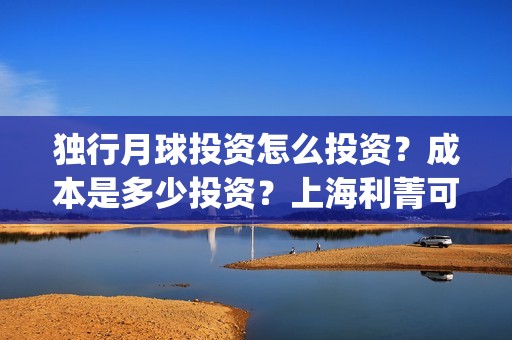 独行月球投资怎么投资？成本是多少投资？上海利菁可以投资吗？(独行月球成本)
