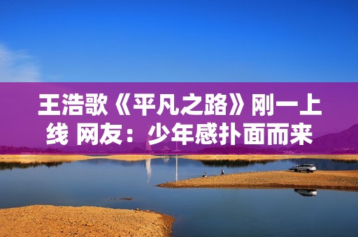 王浩歌《平凡之路》刚一上线 网友：少年感扑面而来