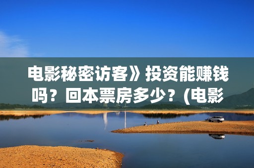 电影秘密访客》投资能赚钱吗？回本票房多少？(电影秘密访客故事讲的是什么)