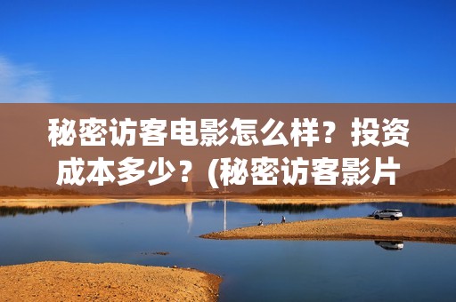 秘密访客电影怎么样？投资成本多少？(秘密访客影片解析)