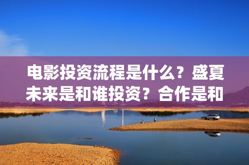 电影投资流程是什么？盛夏未来是和谁投资？合作是和出品方吗？(电影投资是怎么投资的)
