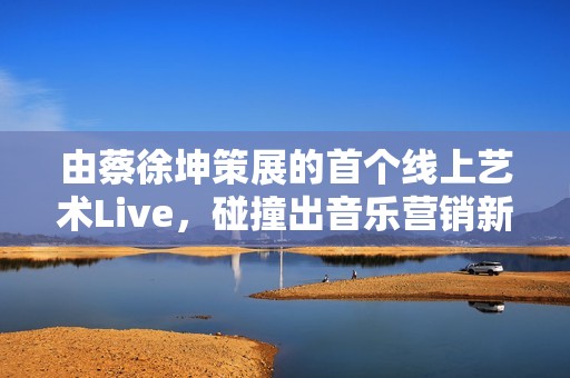 由蔡徐坤策展的首个线上艺术Live，碰撞出音乐营销新想象