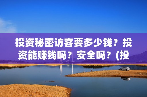投资秘密访客要多少钱？投资能赚钱吗？安全吗？(投资秘密访客要钱吗)