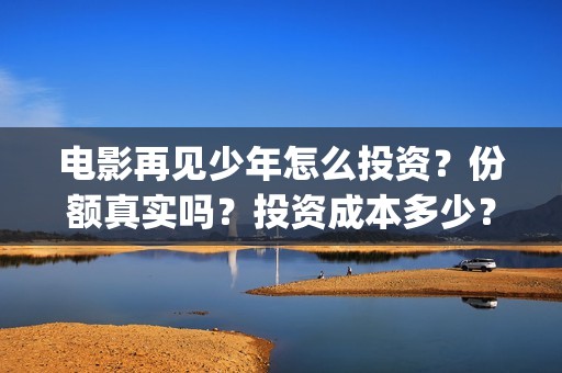 电影再见少年怎么投资？份额真实吗？投资成本多少？(电影再见少年真实事件原型)