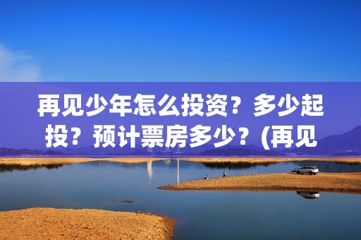 再见少年怎么投资？多少起投？预计票房多少？(再见少年隐藏剧情)