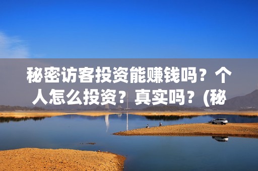 秘密访客投资能赚钱吗？个人怎么投资？真实吗？(秘密访客投资能赚钱吗)