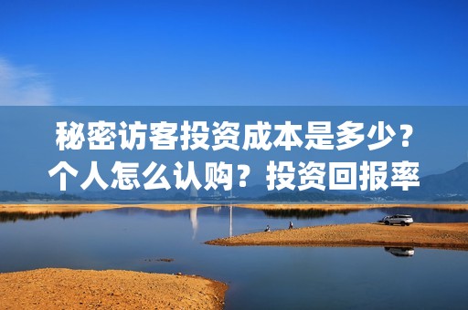 秘密访客投资成本是多少？个人怎么认购？投资回报率高吗？(秘密访客投资成功了吗)