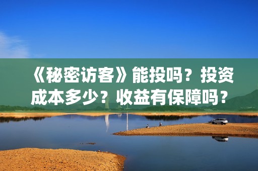《秘密访客》能投吗？投资成本多少？收益有保障吗？(《秘密访客》看不懂)