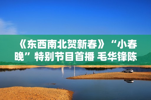 《东西南北贺新春》“小春晚”特别节目首播 毛华锋陈妍希个人表态