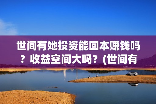 世间有她投资能回本赚钱吗？收益空间大吗？(世间有她投资成本)