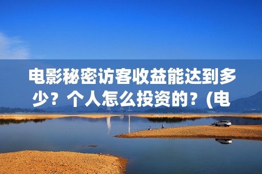 电影秘密访客收益能达到多少？个人怎么投资的？(电影 秘密访客)