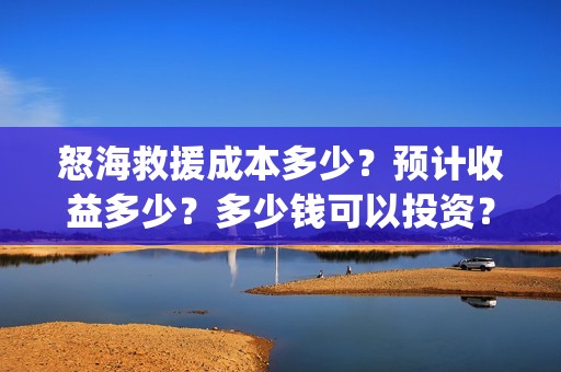 怒海救援成本多少？预计收益多少？多少钱可以投资？(怒海救援海报)