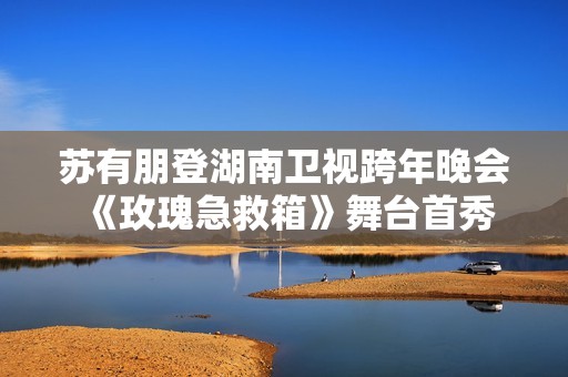 苏有朋登湖南卫视跨年晚会 《玫瑰急救箱》舞台首秀浪漫治愈