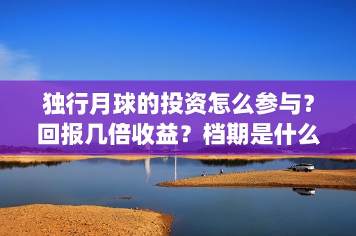 独行月球的投资怎么参与？回报几倍收益？档期是什么时候？(独行月球投资方)