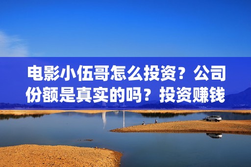 电影小伍哥怎么投资？公司份额是真实的吗？投资赚钱吗？(电影小伍哥预估票房)
