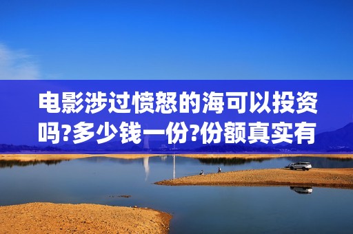 电影涉过愤怒的海可以投资吗?多少钱一份?份额真实有效吗?(电影涉过愤怒的河的内容)