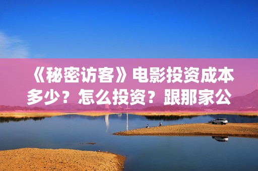 《秘密访客》电影投资成本多少？怎么投资？跟那家公司签合同？(《秘密访客》电影演员表)