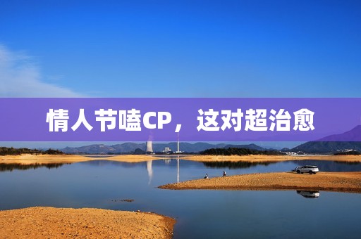 情人节嗑CP，这对超治愈