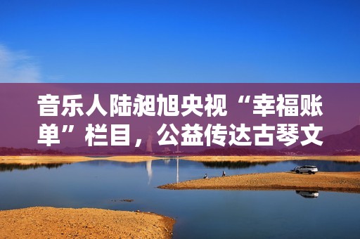 音乐人陆昶旭央视“幸福账单”栏目，公益传达古琴文明