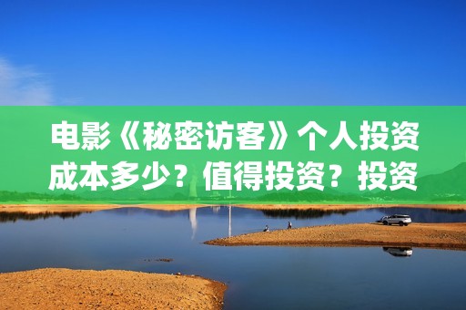 电影《秘密访客》个人投资成本多少？值得投资？投资分红多少？(秘密访客完整剧情)
