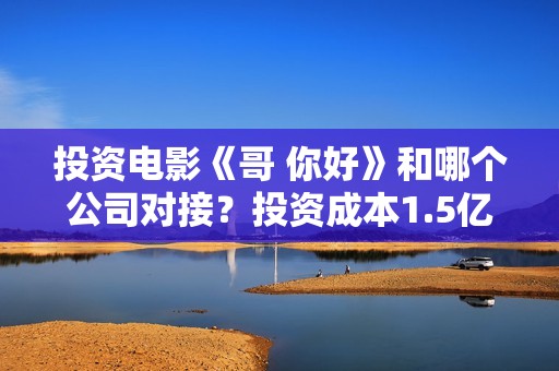 投资电影《哥 你好》和哪个公司对接？投资成本1.5亿值得参与吗？