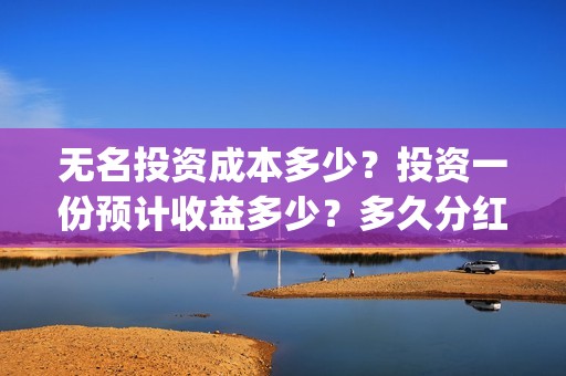 无名投资成本多少？投资一份预计收益多少？多久分红？(无名创投)