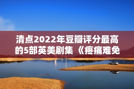 清点2022年豆瓣评分最高的5部英美剧集 《疼痛难免》评分最高