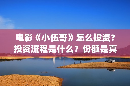 电影《小伍哥》怎么投资？投资流程是什么？份额是真实的吗？(电影小伍哥上映时间)