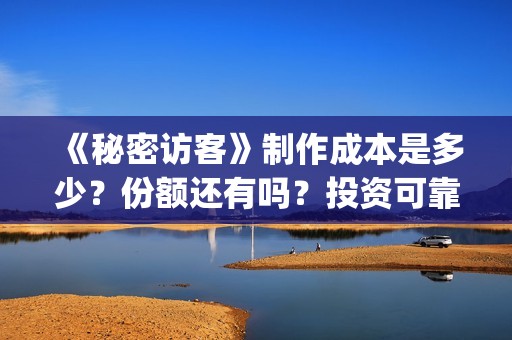 《秘密访客》制作成本是多少？份额还有吗？投资可靠吗？((秘密访客))