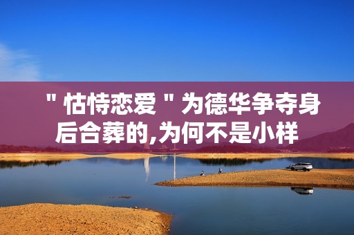 ＂怙恃恋爱＂为德华争夺身后合葬的,为何不是小样