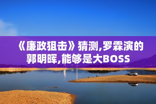 《廉政狙击》猜测,罗霖演的郭明晖,能够是大BOSS