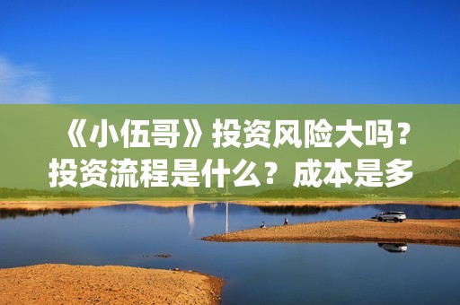 《小伍哥》投资风险大吗？投资流程是什么？成本是多少？(小伍哥能投)