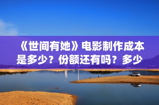 《世间有她》电影制作成本是多少？份额还有吗？多少钱一份？(世间有她电影剧情介绍)