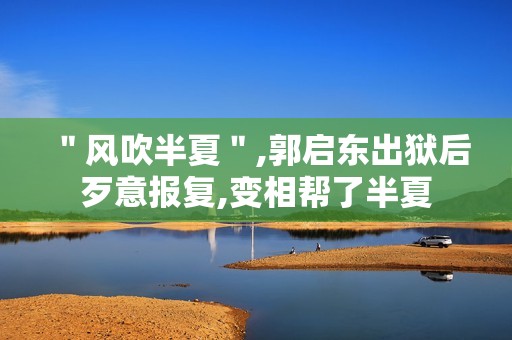 ＂风吹半夏＂,郭启东出狱后歹意报复,变相帮了半夏