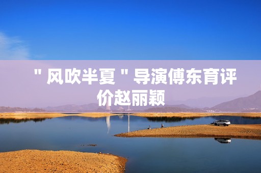 ＂风吹半夏＂导演傅东育评价赵丽颖