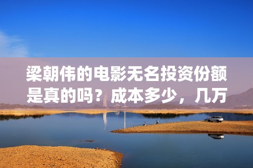 梁朝伟的电影无名投资份额是真的吗？成本多少，几万参与一份?(梁朝伟电影无间道)