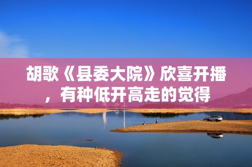 胡歌《县委大院》欣喜开播，有种低开高走的觉得