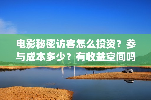 电影秘密访客怎么投资？参与成本多少？有收益空间吗？(电影秘密访客怎么样好看)