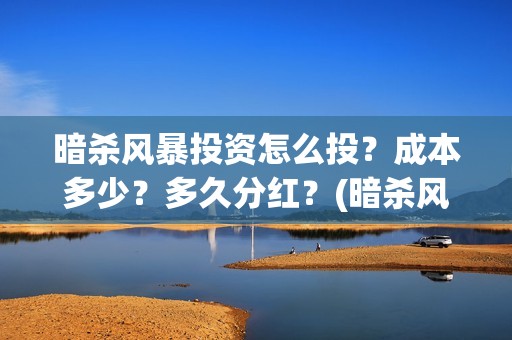 暗杀风暴投资怎么投？成本多少？多久分红？(暗杀风暴演员)