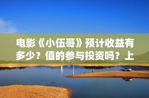 电影《小伍哥》预计收益有多少？值的参与投资吗？上映时间是什么时候/(电影《小伍哥》免费观看)