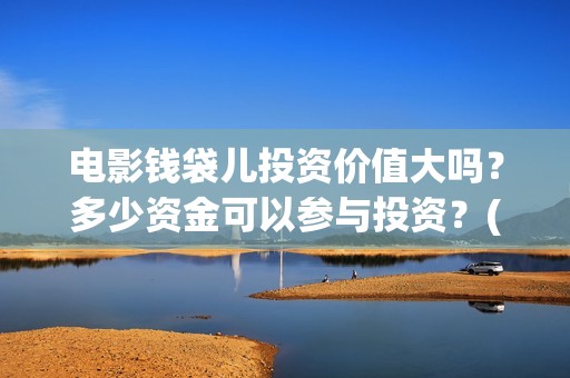 电影钱袋儿投资价值大吗？多少资金可以参与投资？(电影 钱袋)