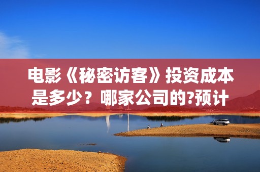 电影《秘密访客》投资成本是多少？哪家公司的?预计收益是多少？(秘密访客完整剧情)