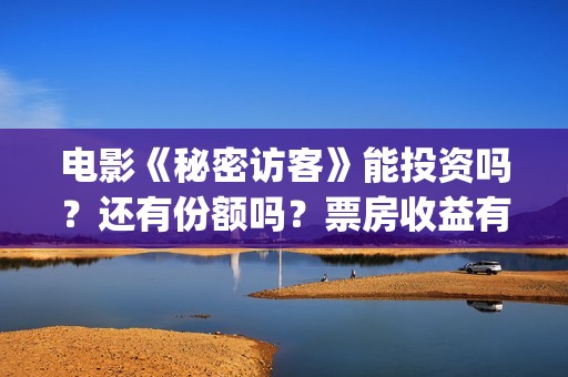电影《秘密访客》能投资吗？还有份额吗？票房收益有保障吗？(电影秘密访客故事讲的是什么)