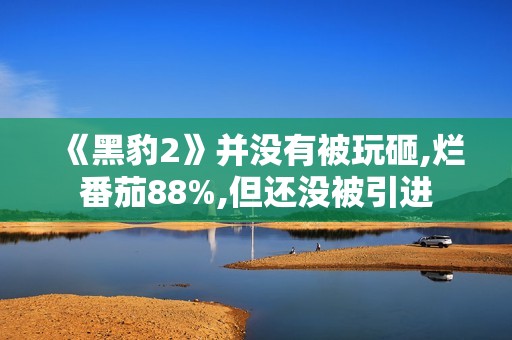 《黑豹2》并没有被玩砸,烂番茄88%,但还没被引进