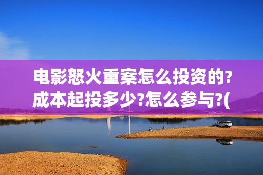 电影怒火重案怎么投资的?成本起投多少?怎么参与?(怒火重案影片简介)