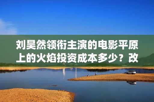 刘昊然领衔主演的电影平原上的火焰投资成本多少？改档会影响票房吗？(刘昊然代表电影)