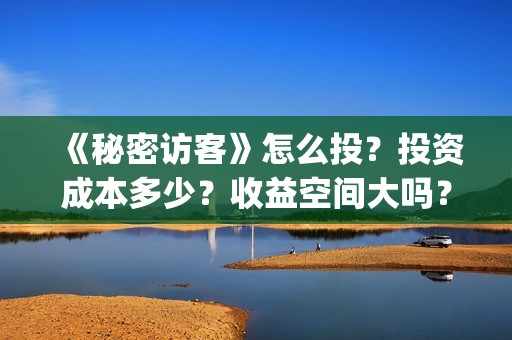 《秘密访客》怎么投？投资成本多少？收益空间大吗？(秘密访客在讲啥)