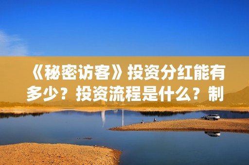 《秘密访客》投资分红能有多少？投资流程是什么？制作成本是多少？(《秘密访客》投资多少钱)